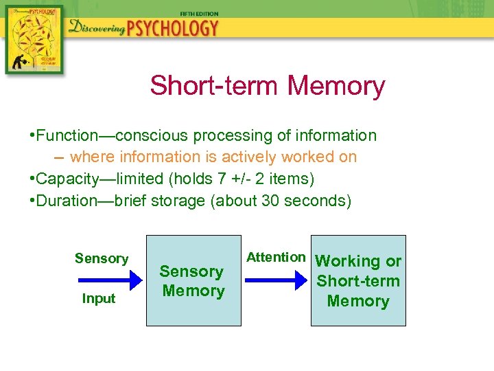 Short-term Memory • Function—conscious processing of information – where information is actively worked on