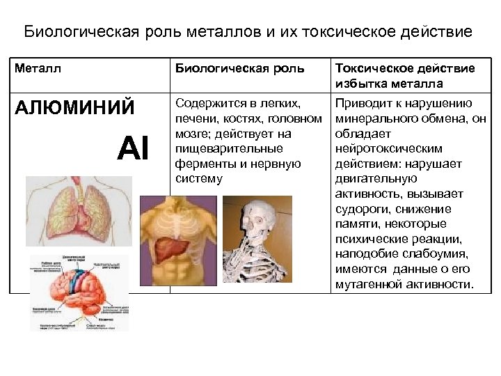 Биологическая роль металлов и их токсическое действие Металл Биологическая роль Токсическое действие избытка металла