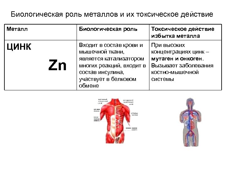 Биологическая роль металлов и их токсическое действие Металл Биологическая роль Токсическое действие избытка металла