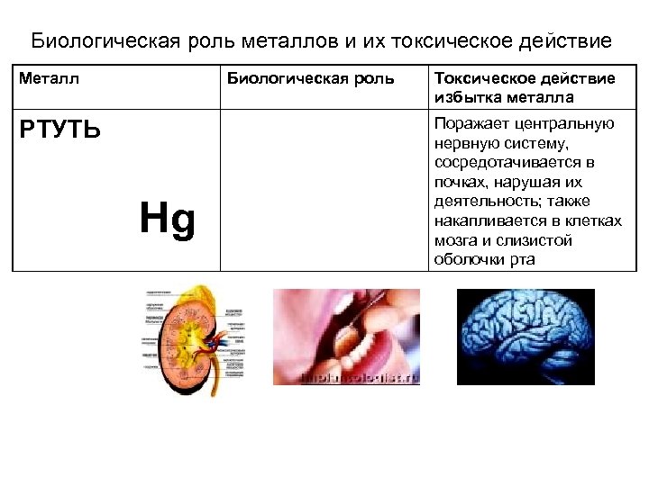 Биологическая роль металлов и их токсическое действие Металл Биологическая роль РТУТЬ Hg Токсическое действие