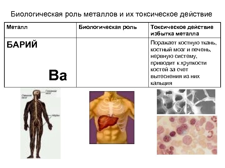 Биологическая роль металлов и их токсическое действие Металл Биологическая роль БАРИЙ Ba Токсическое действие