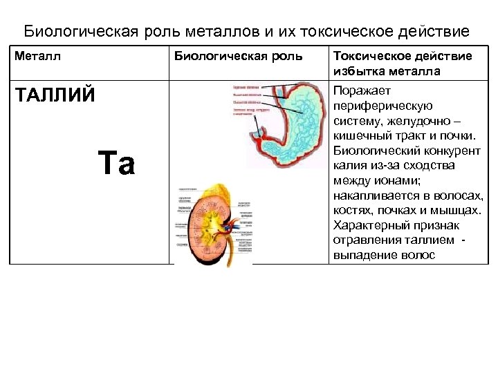 Биологическая роль металлов и их токсическое действие Металл Биологическая роль ТАЛЛИЙ Ta Токсическое действие