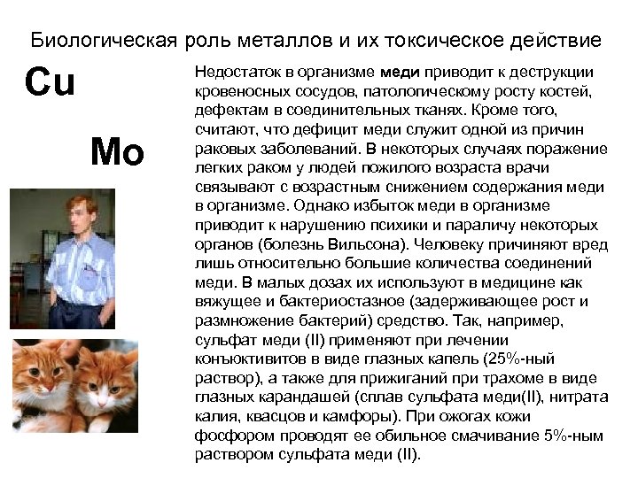 Биологическая роль металлов и их токсическое действие Cu Mo Недостаток в организме меди приводит