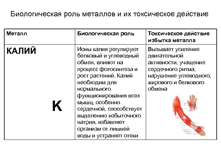 Биологическая роль металлов и их токсическое действие Металл Биологическая роль Токсическое действие избытка металла