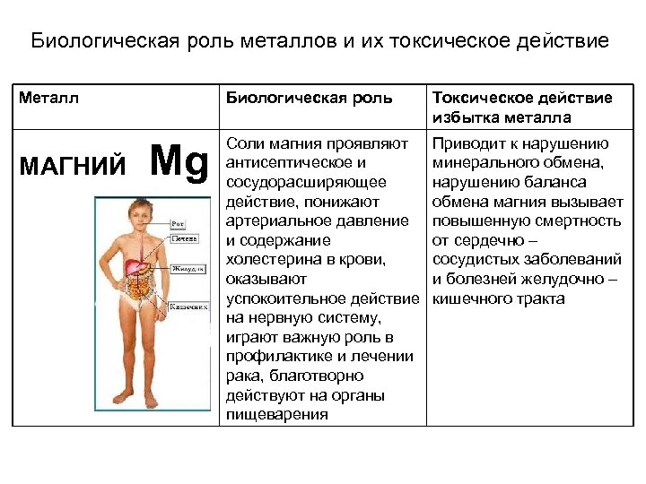 Биологическая роль металлов и их токсическое действие Металл МАГНИЙ Биологическая роль Mg Токсическое действие