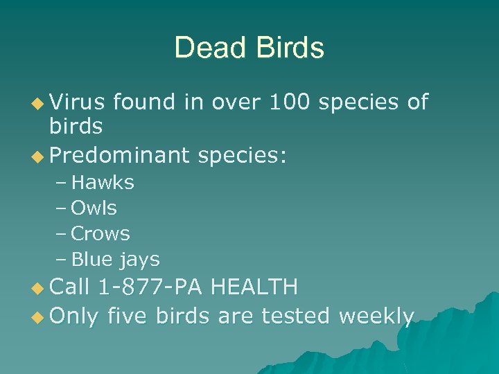 Dead Birds u Virus found in over 100 species of birds u Predominant species: