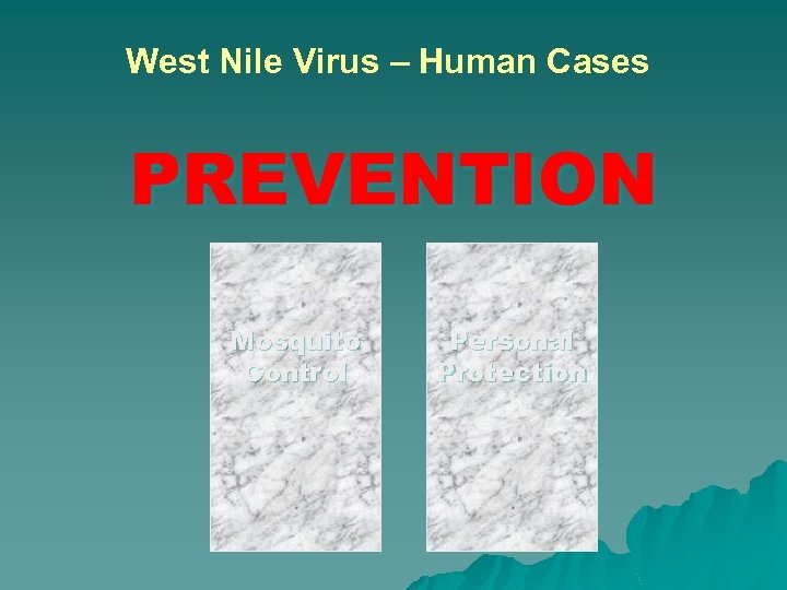 West Nile Virus – Human Cases PREVENTION Mosquito Control Personal Protection 