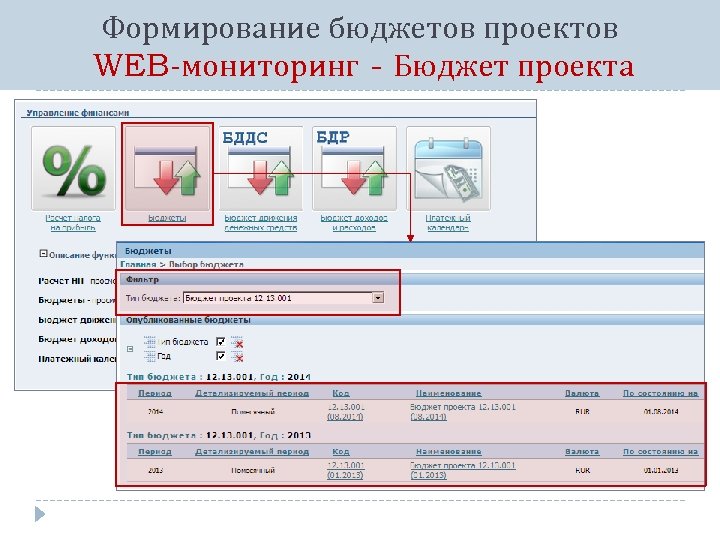 Мониторинг бюджета проекта