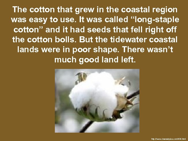 The cotton that grew in the coastal region was easy to use. It was