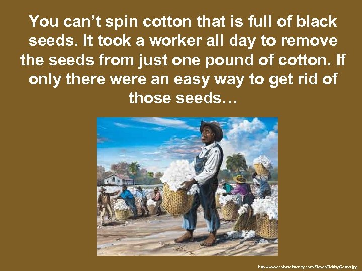 You can’t spin cotton that is full of black seeds. It took a worker