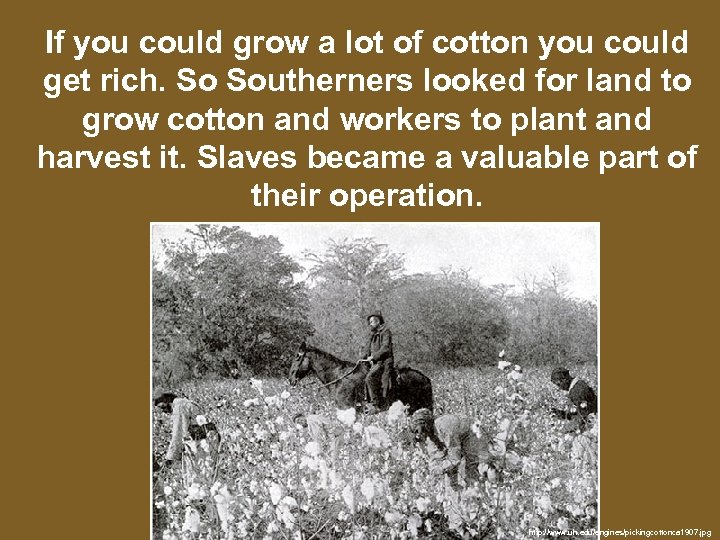 If you could grow a lot of cotton you could get rich. So Southerners