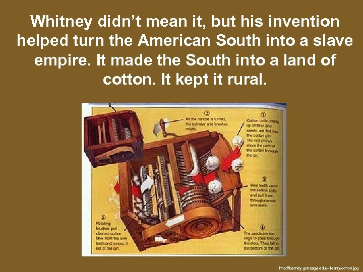 Whitney didn’t mean it, but his invention helped turn the American South into a