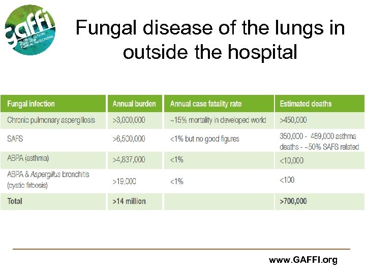 The Global Burden Of Fungal Diseases David W