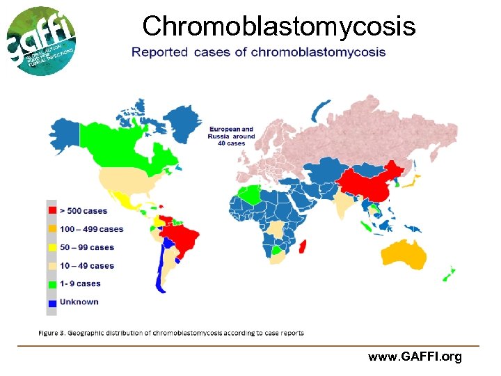 The Global Burden Of Fungal Diseases David W