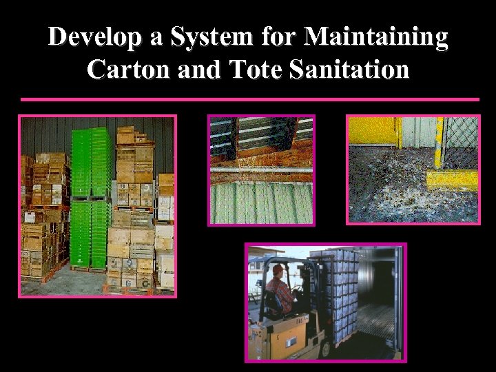 Develop a System for Maintaining Carton and Tote Sanitation 