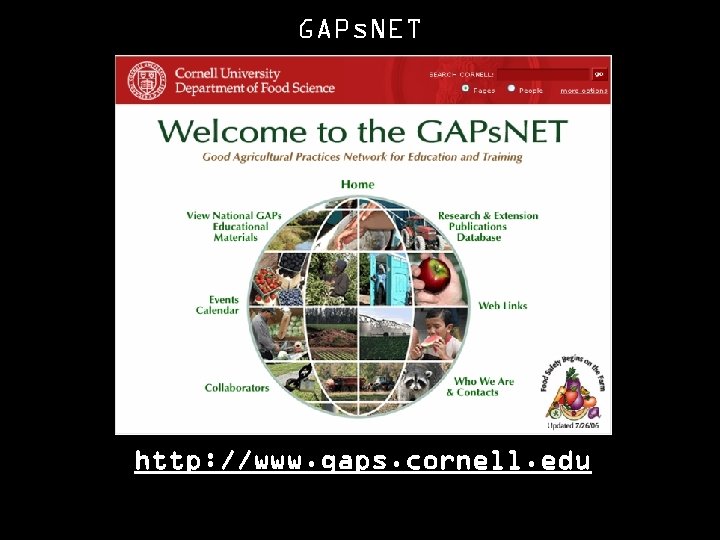 GAPs. NET http: //www. gaps. cornell. edu 