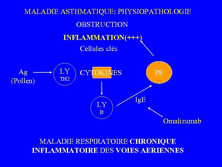  MALADIE ASTHMATIQUE: PHYSIOPATHOLOGIE OBSTRUCTION INFLAMMATION(+++) Cellules clés Ag (Pollen) LY TH 2 PE