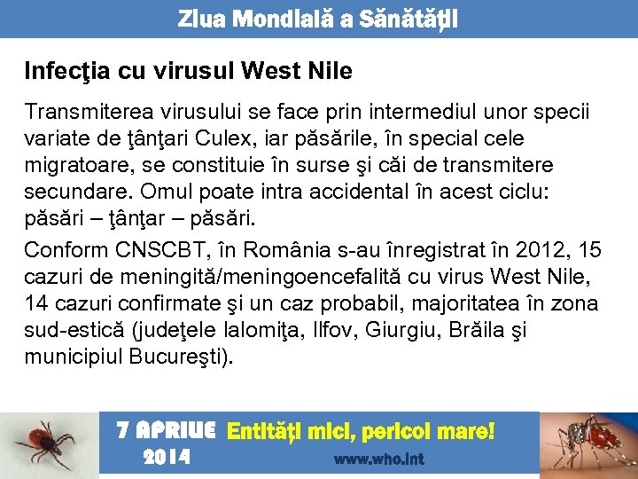 Ziua Mondială a Sănătăţii Infecţia cu virusul West Nile Transmiterea virusului se face prin