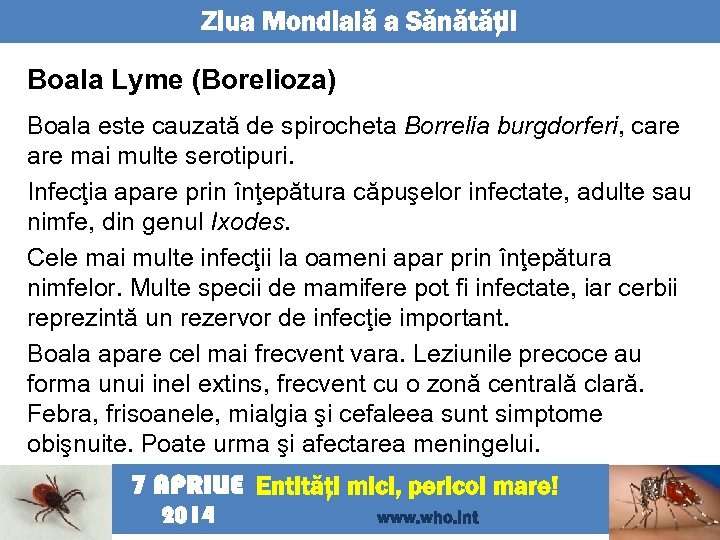 Ziua Mondială a Sănătăţii Boala Lyme (Borelioza) Boala este cauzată de spirocheta Borrelia burgdorferi,