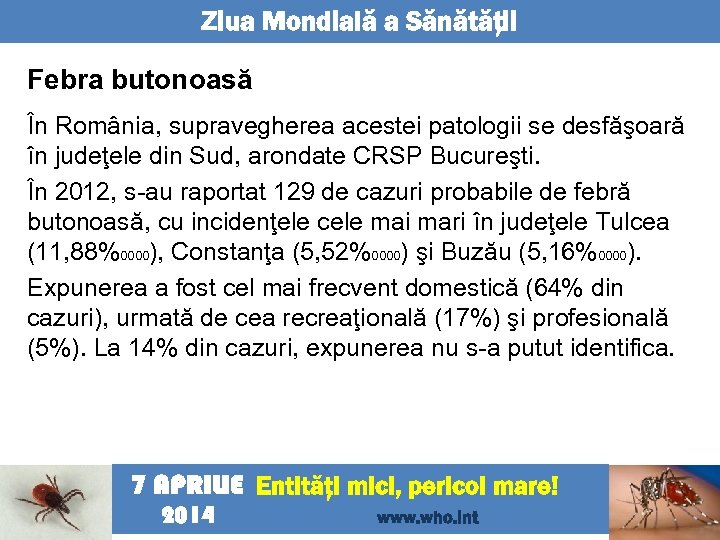 Ziua Mondială a Sănătăţii Febra butonoasă În România, supravegherea acestei patologii se desfăşoară în