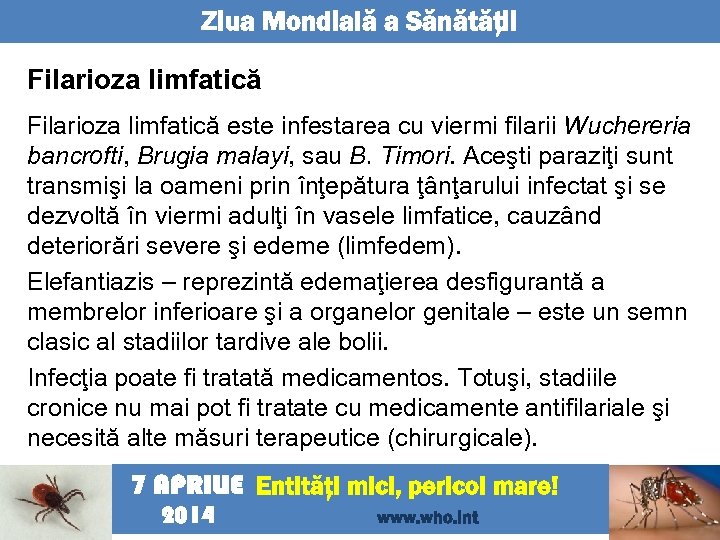 Ziua Mondială a Sănătăţii Filarioza limfatică este infestarea cu viermi filarii Wuchereria bancrofti, Brugia