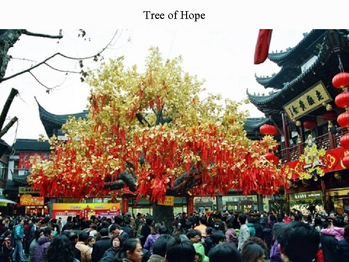 Tree of Hope 