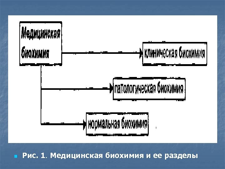 Медицинская биохимия