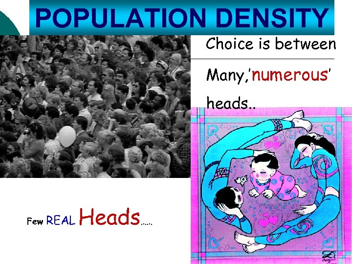 POPULATION DENSITY Choice is between Many, ’numerous’ heads. . Few REAL Heads…… 