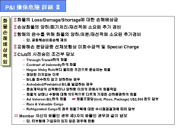 P&I 擔保危險 詳細 Ⅱ 화 물 손 해 배 상 책 임 6 화물의