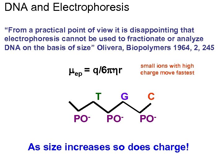 DNA and Electrophoresis “From a practical point of view it is disappointing that electrophoresis