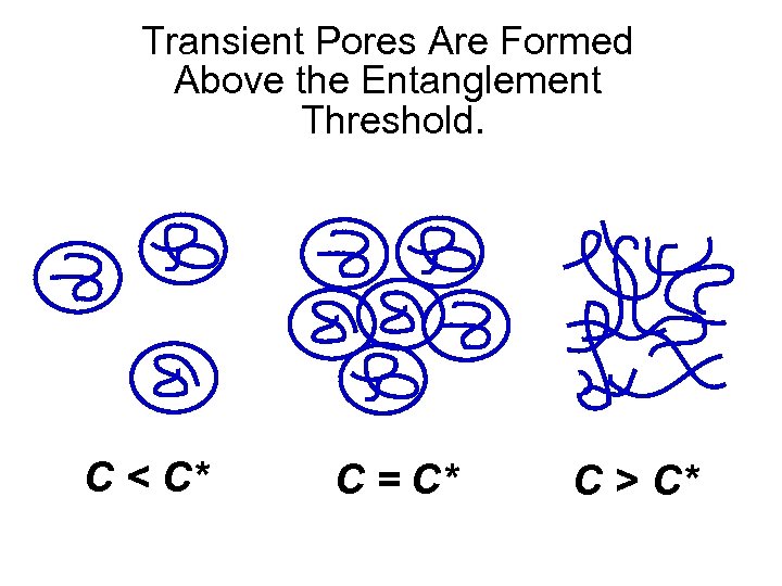 Transient Pores Are Formed Above the Entanglement Threshold. C < C* C = C*