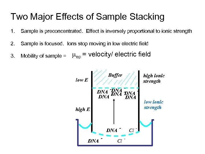 Two Major Effects of Sample Stacking 1. Sample is preconcentrated. Effect is inversely proportional