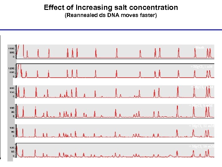 Effect of Increasing salt concentration (Reannealed ds DNA moves faster) blank + Mg. Cl