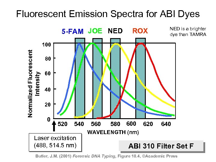 Fluorescent Emission Spectra for ABI Dyes 5 -FAM JOE NED ROX NED is a