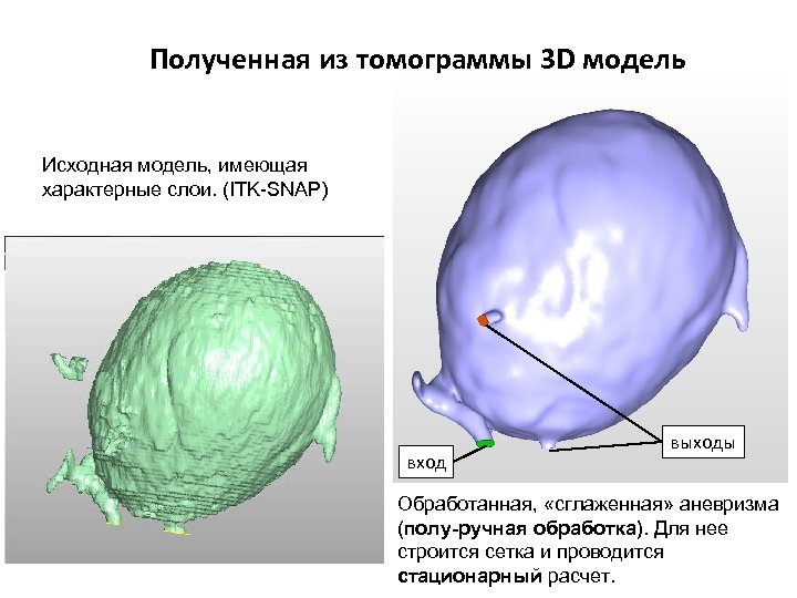 Полученная из томограммы 3 D модель Исходная модель, имеющая характерные слои. (ITK-SNAP) вход выходы