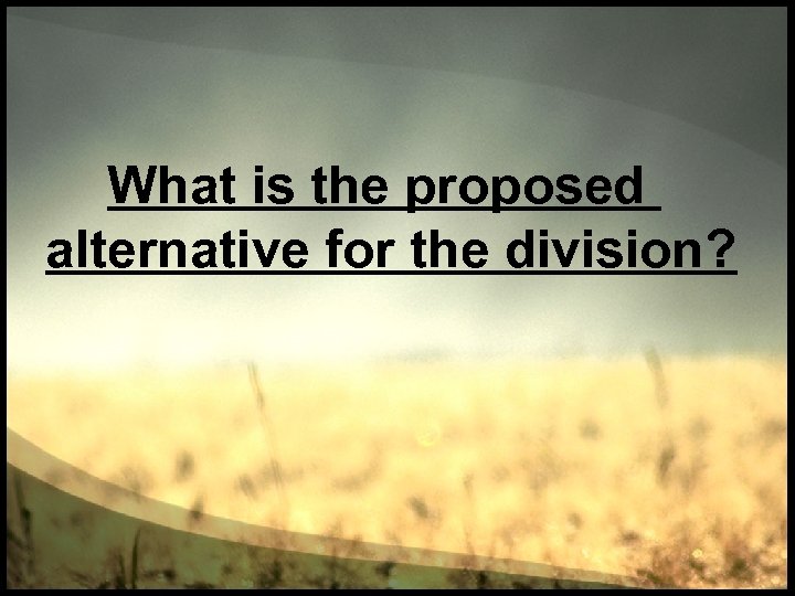 What is the proposed alternative for the division? 