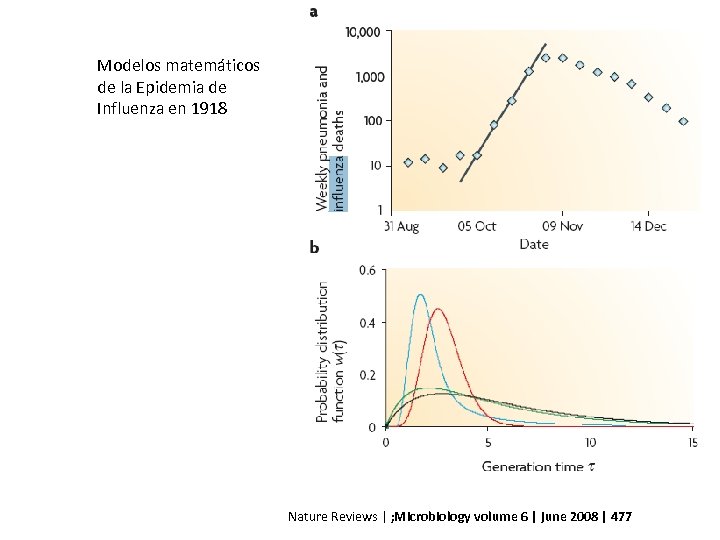 Modelos matemáticos de la Epidemia de Influenza en 1918 Nature Reviews | ; Microbiology
