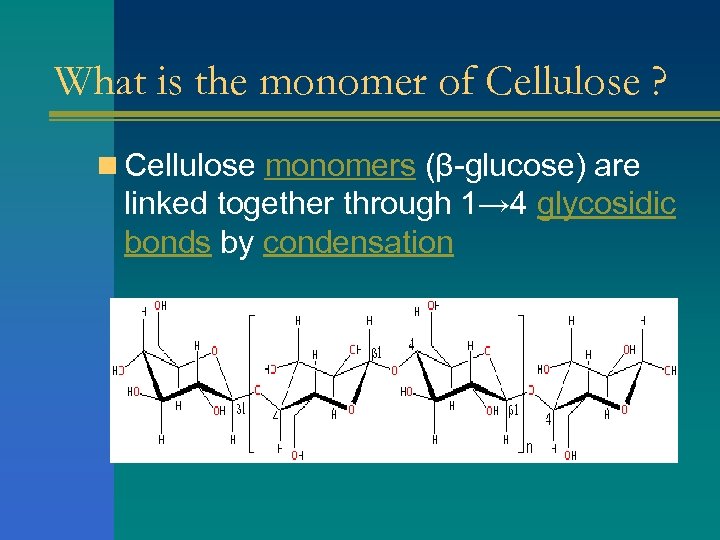 What is the monomer of Cellulose ? n Cellulose monomers (β-glucose) are linked together