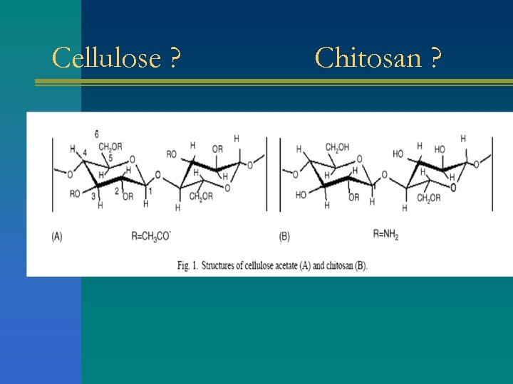 Cellulose ? Chitosan ? 