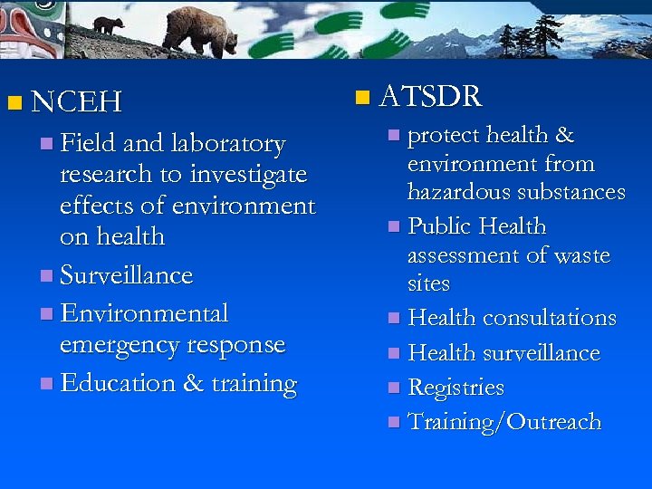 n NCEH n Field and laboratory research to investigate effects of environment on health
