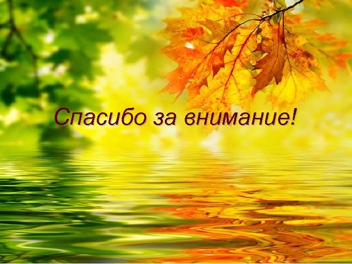 Спасибо за внимание! 