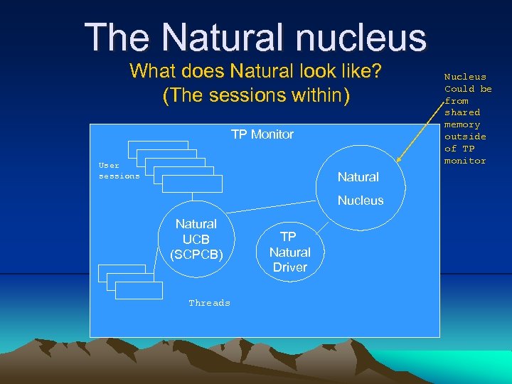 The Natural nucleus What does Natural look like? (The sessions within) TP Monitor User