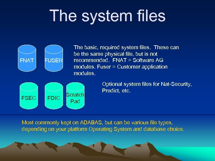 The system files FNAT FSEC FUSER FDIC The basic, required system files. These can