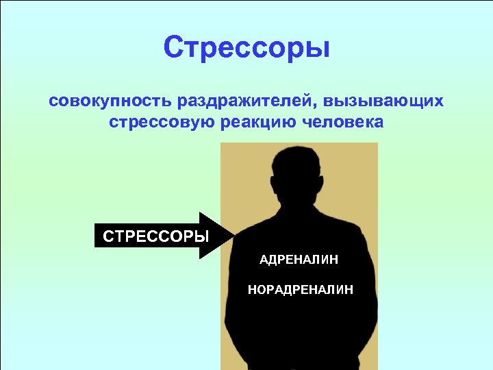 Стрессор. Стрессоры. Что такое стрессоры перечислите.