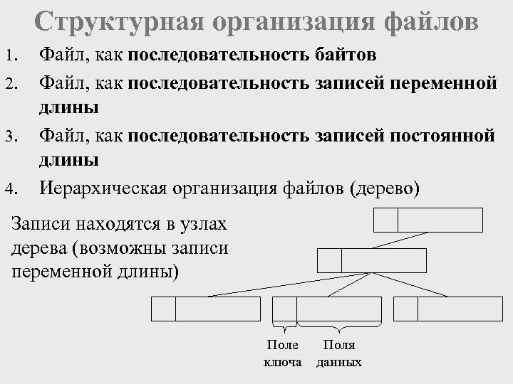 Структурная организация файлов 1. 2. 3. 4. Файл, как последовательность байтов Файл, как последовательность