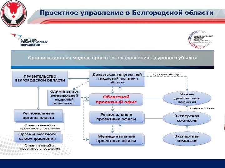 Электронное правительство белгородской