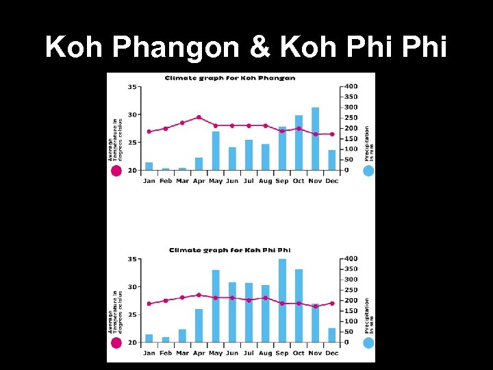 Koh Phangon & Koh Phi 