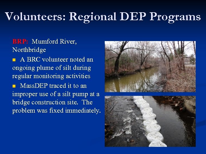 Volunteers: Regional DEP Programs BRP: Mumford River, Northbridge n A BRC volunteer noted an