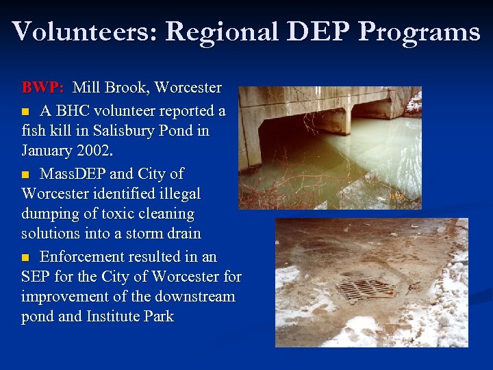Volunteers: Regional DEP Programs BWP: Mill Brook, Worcester n A BHC volunteer reported a