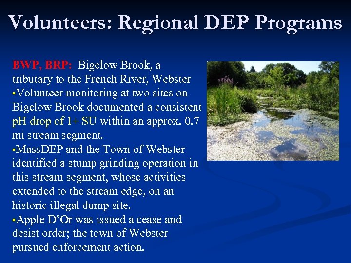 Volunteers: Regional DEP Programs BWP, BRP: Bigelow Brook, a tributary to the French River,
